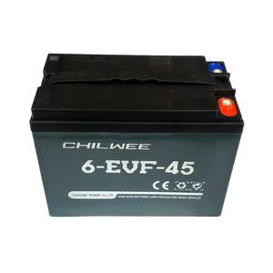 12V45AH 6-EVF-45 Battery Cell